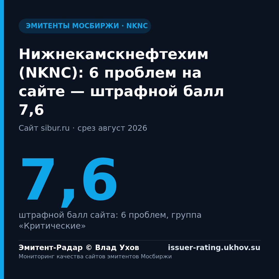 Нижнекамскнефтехим (NKNC): 6 проблем на сайте — штрафной балл 7,6