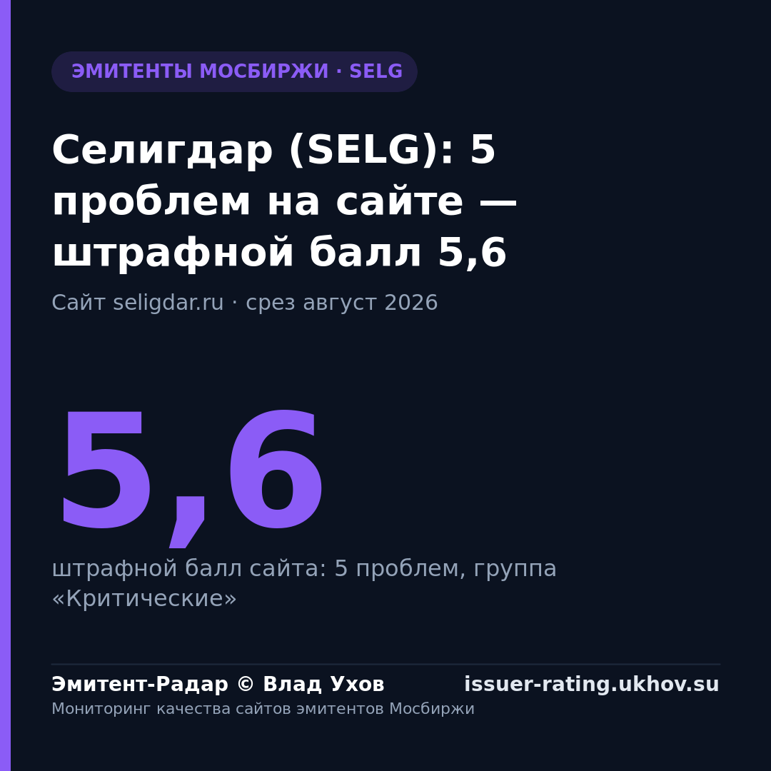 Селигдар (SELG): 5 проблем на сайте — штрафной балл 5,6
