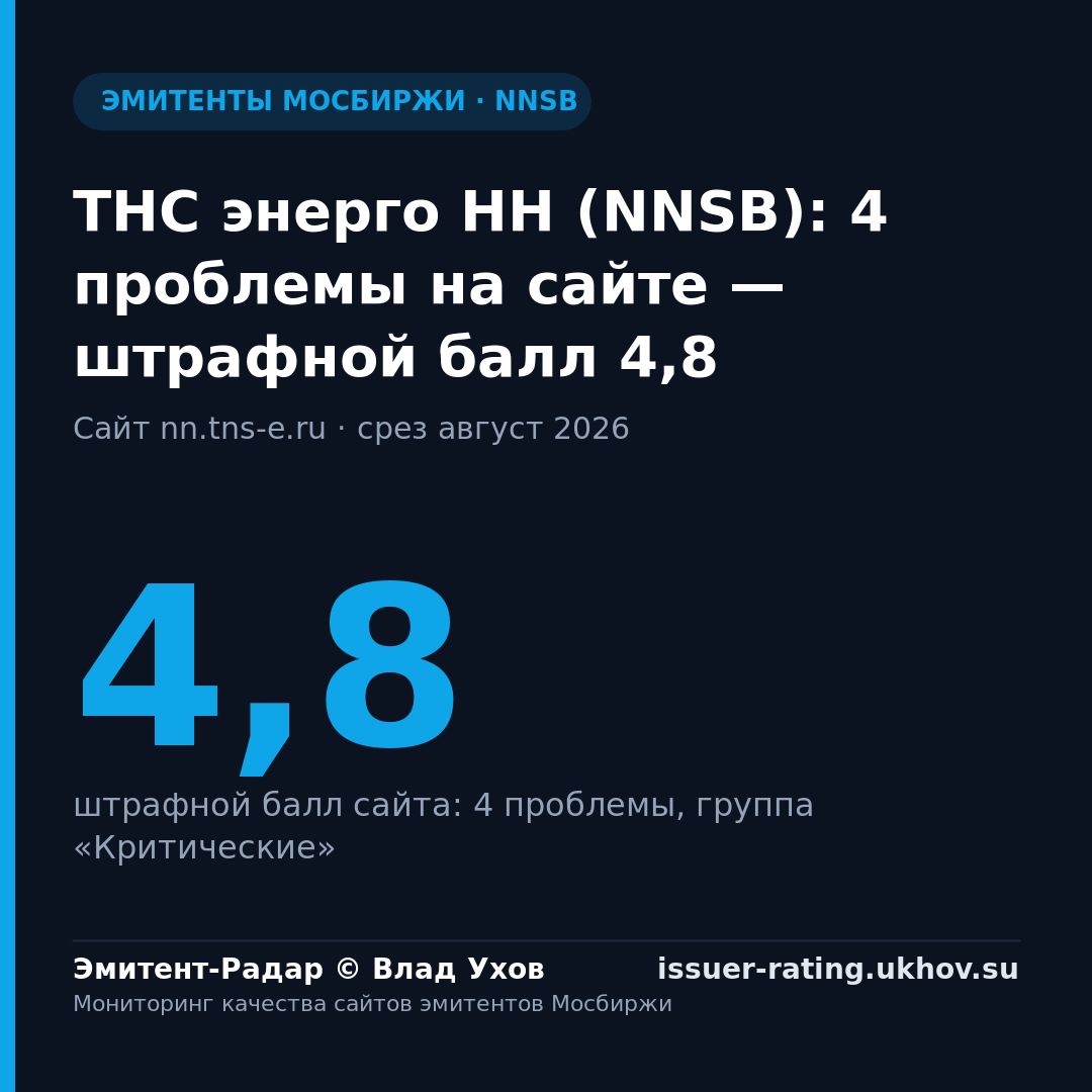 ТНС энерго НН (NNSB): 4 проблемы на сайте — штрафной балл 4,8